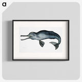 1-2_Indian-Zoology_blk