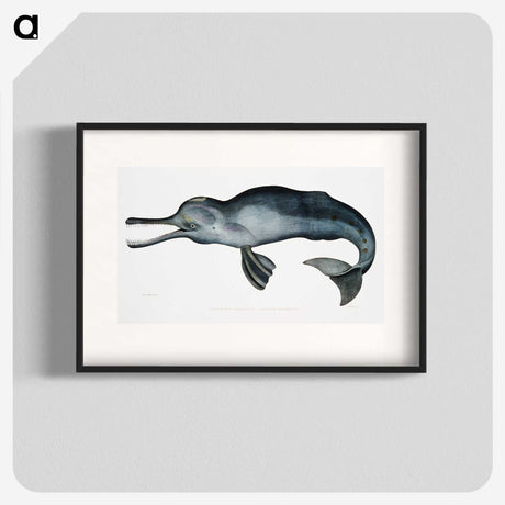 1-2_Indian-Zoology_blk