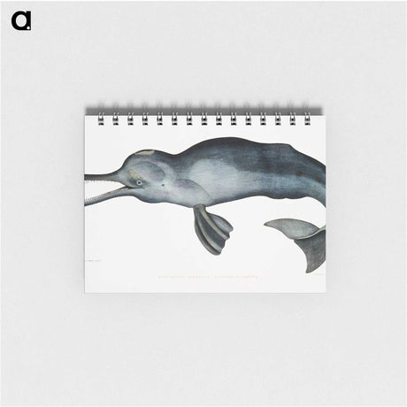 1-2_Indian-Zoology_memo