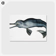 1-2_Indian-Zoology_postcard