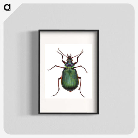 1-2_Insects-Unlocked-Project_blk