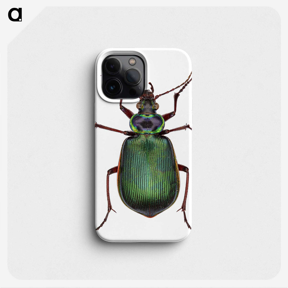 1-2_Insects-Unlocked-Project_phone