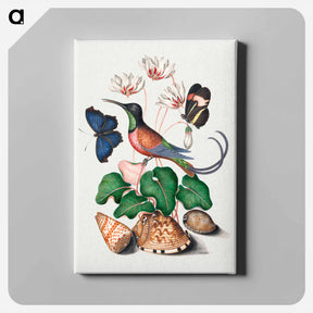 アートパネル-Crimson Topaz Hummingbird
 - ジェームズ ボルトン Canvas.