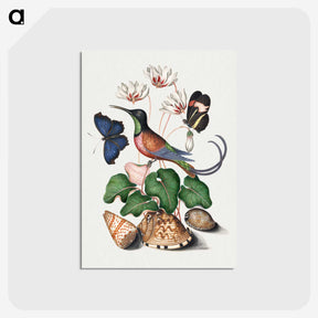 1-2_James-Bolton_postcard