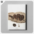 1-2_James-Heath_canvas