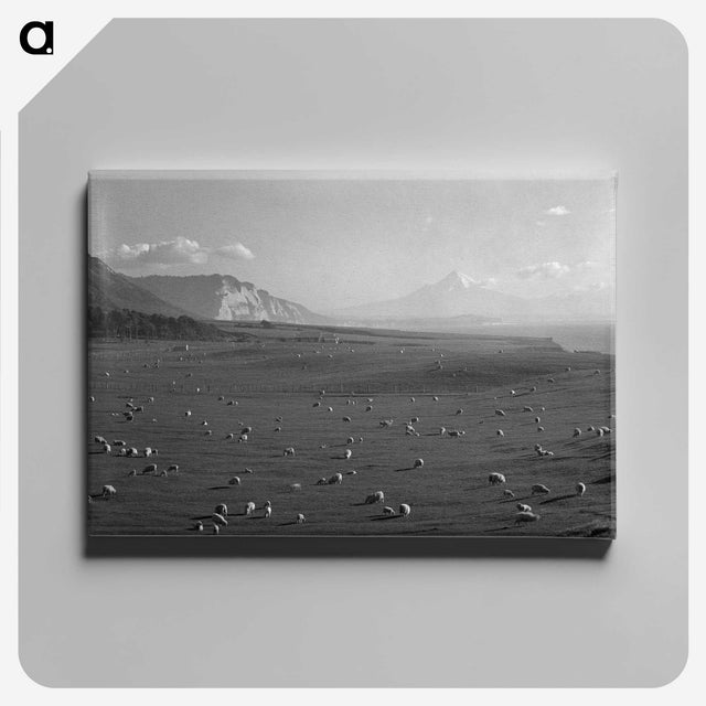 1-2_James-Walter-Chapman-Taylor_canvas