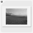 1-2_James-Walter-Chapman-Taylor_picture