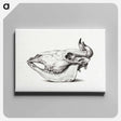 アートパネル-Skull of a cow - ジャン ベルナール Canvas.