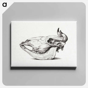 アートパネル-Skull of a cow - ジャン ベルナール Canvas.
