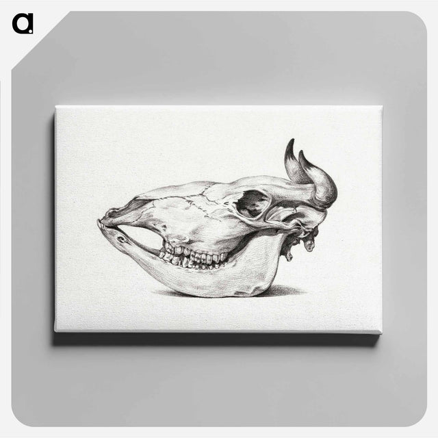アートパネル-Skull of a cow - ジャン ベルナール Canvas.