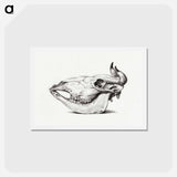 アートポストカード-Skull of a cow - ジャン ベルナール Postcard.