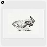 1-2_Jean-Bernard_picture