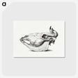 1-2_Jean-Bernard_postcard