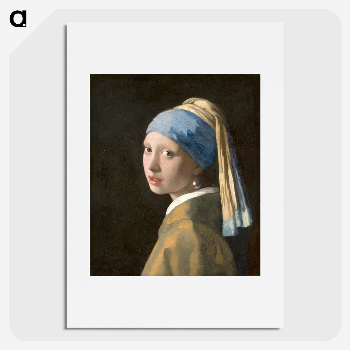 1-2_Johannes-Vermeer_picture