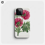 1-2_John-Edwards_phone