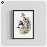 1-2_John-Gould_blk-crop
