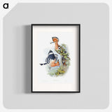 1-2_John-Gould_blk