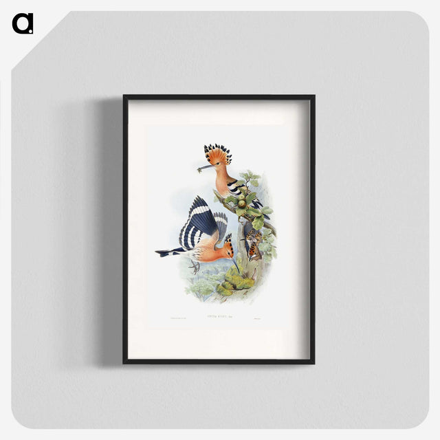 1-2_John-Gould_blk