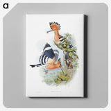 1-2_John-Gould_canvas