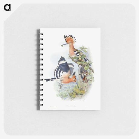 1-2_John-Gould_memo