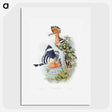 1-2_John-Gould_picture