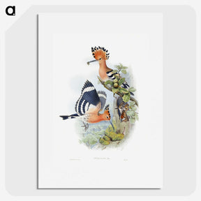1-2_John-Gould_picture