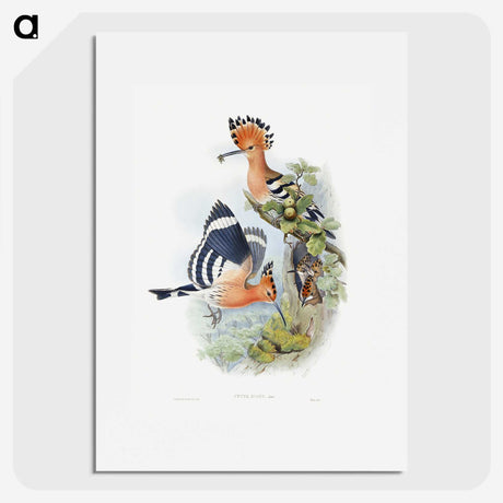 1-2_John-Gould_picture