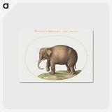 1-2_Joris-Hoefnagel_postcard