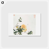 Insects and Flowers
 - ジュ リアン Postcard.