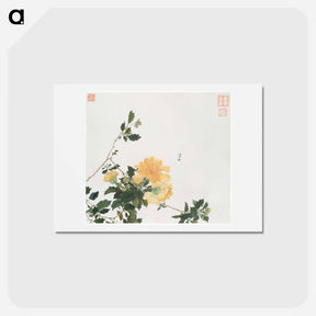 アートポストカード-Insects and Flowers
 - ジュ リアン Postcard.