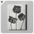 1-2_Karl-Blossfeldt_canvas
