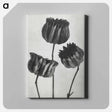 アートパネル-Abutilon (Lime Mallow) pod enlarged six times from Urformen der Kunst by Karl Blossfeldt - カール ブロスフェルト Canvas.