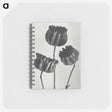 1-2_Karl-Blossfeldt_memo
