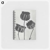 1-2_Karl-Blossfeldt_memo