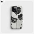 1-2_Karl-Blossfeldt_phone