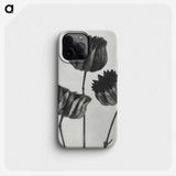 1-2_Karl-Blossfeldt_phone