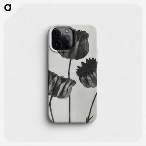 1-2_Karl-Blossfeldt_phone