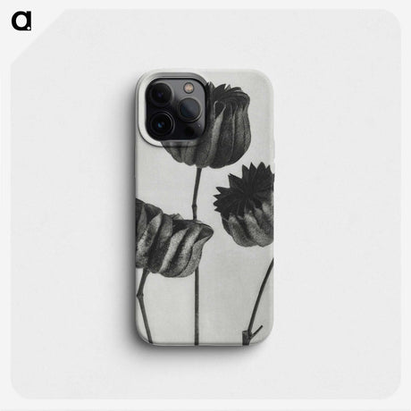 1-2_Karl-Blossfeldt_phone