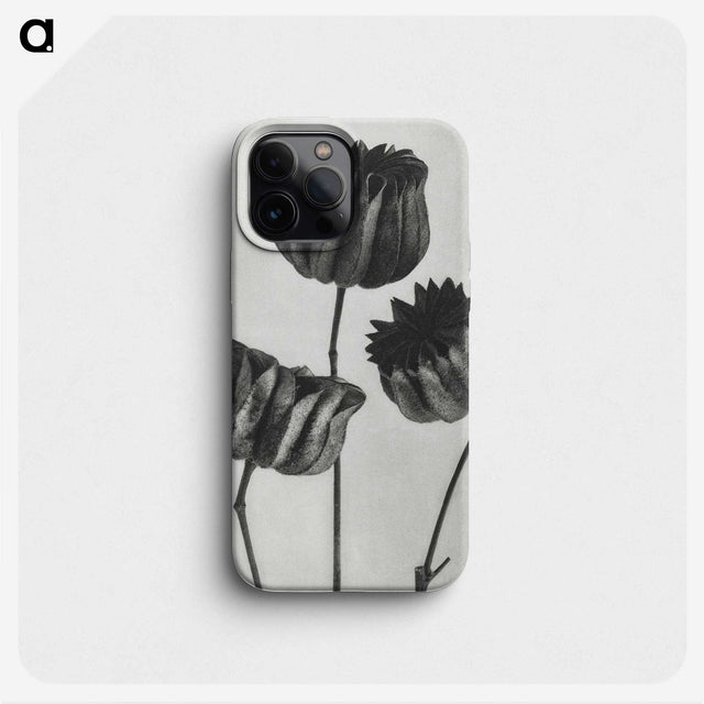 1-2_Karl-Blossfeldt_phone