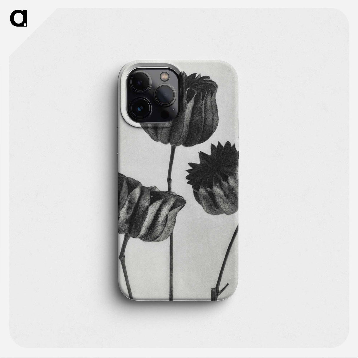 Abutilon (Lime Mallow) pod enlarged six times from Urformen der Kunst by Karl Blossfeldt - カール ブロスフェルト Phone Case.