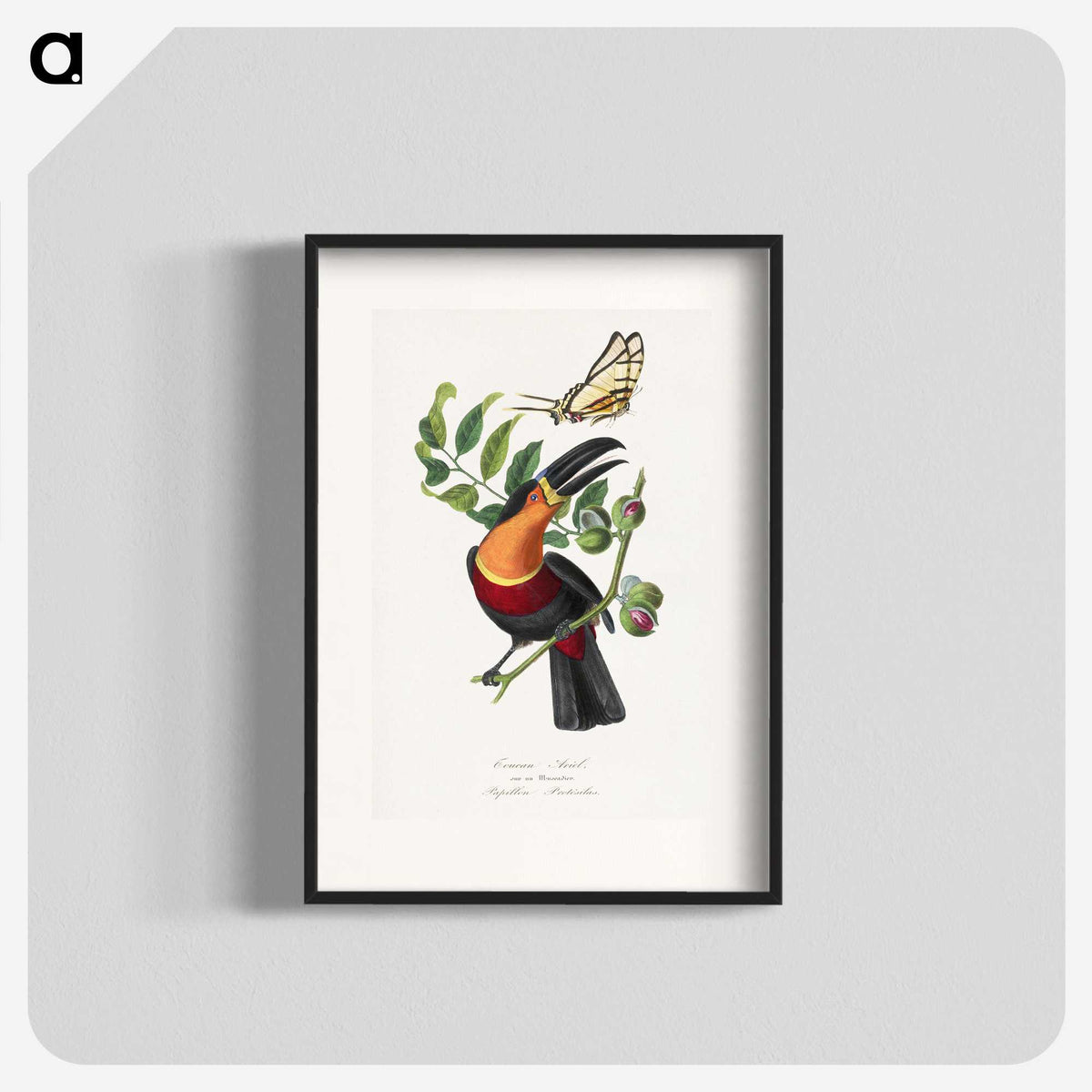 1-2_Le-Jardin-des-Plantes_blk