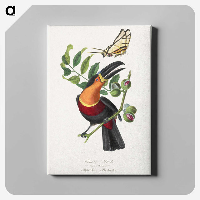 1-2_Le-Jardin-des-Plantes_canvas
