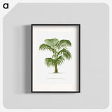1-2_Les-Palmiers-Histoire-Iconographique_blk