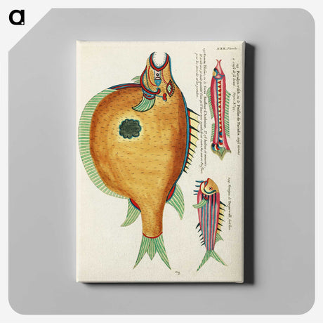 1-2_Louis-Renard_canvas