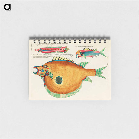 アートメモ帳-Moluccan Fishes
 - ルイ ルナール Memo.