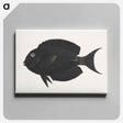 アートパネル-Unidentified Fish
 - ルイージ バルガーニ Canvas.