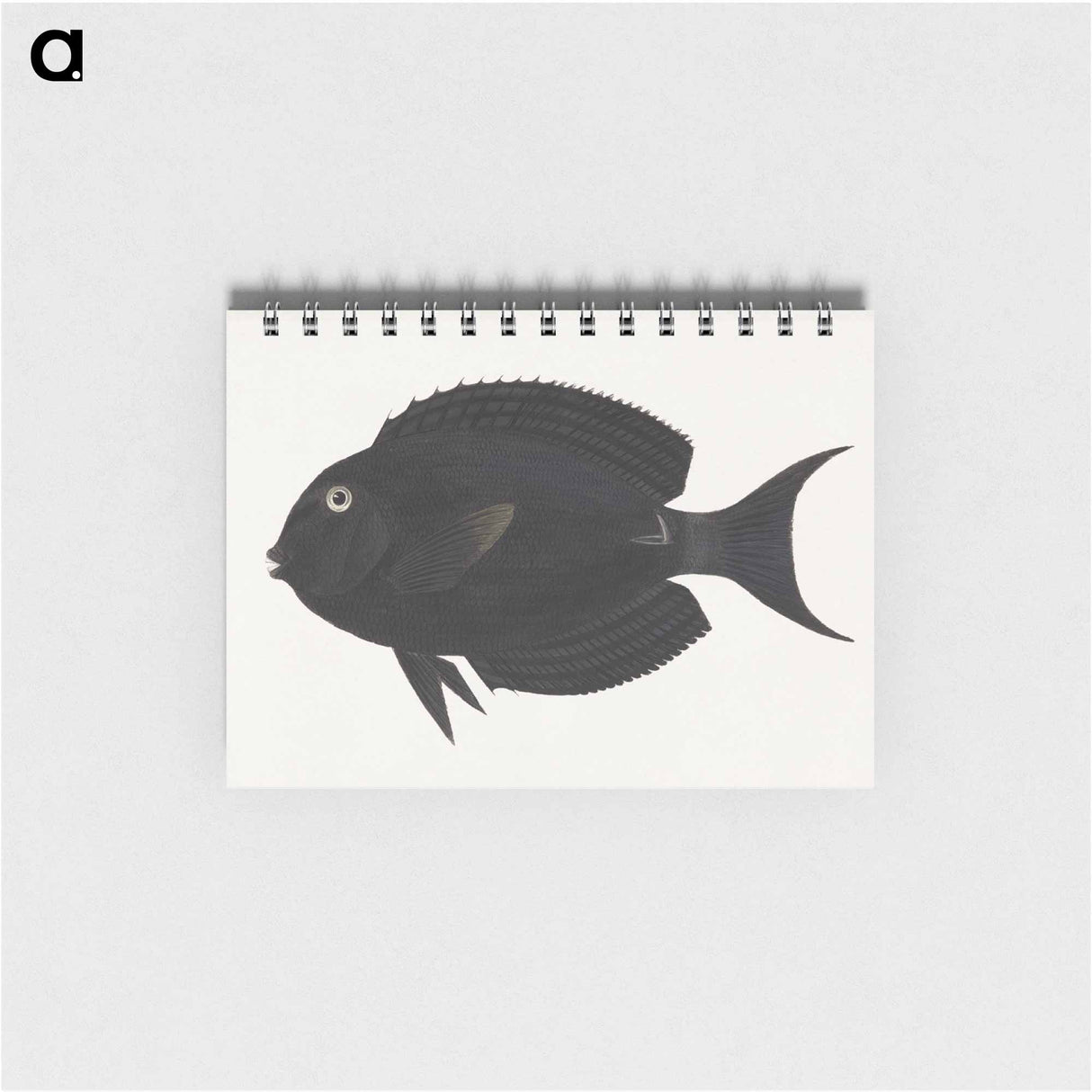 Unidentified Fish
 - ルイージ バルガーニ Memo.