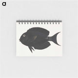 Unidentified Fish
 - ルイージ バルガーニ Memo.