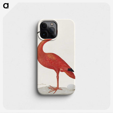 1-2_Maria-Sibylla-Merian_phone