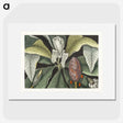 1-2_Mark-Catesby_picture